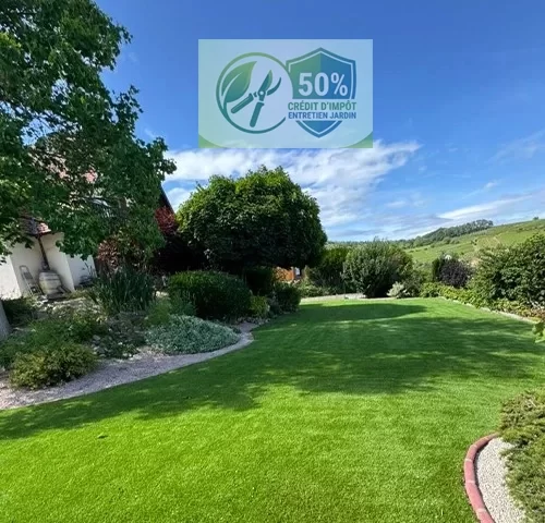 Terrassier Scherwiller