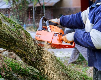 &eacute;lagueur scherwiller